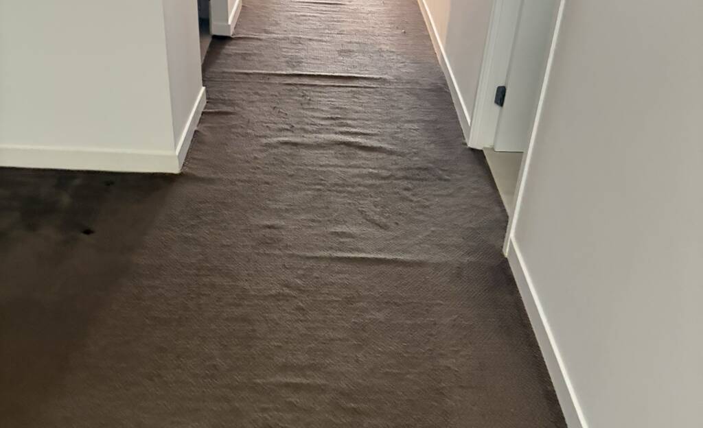 Benowa carpet stretch(before)
